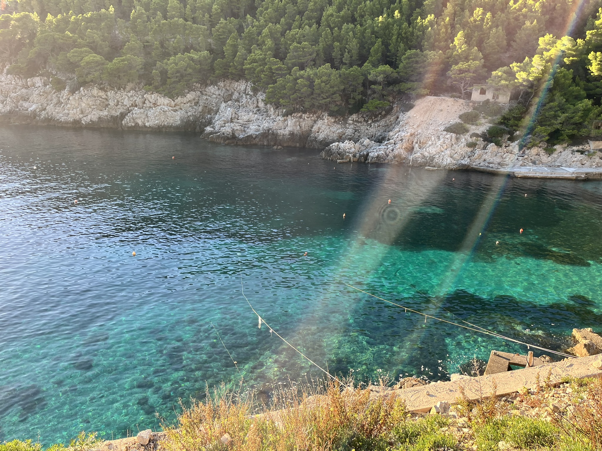 A secluded cove at the water's edge, on an island