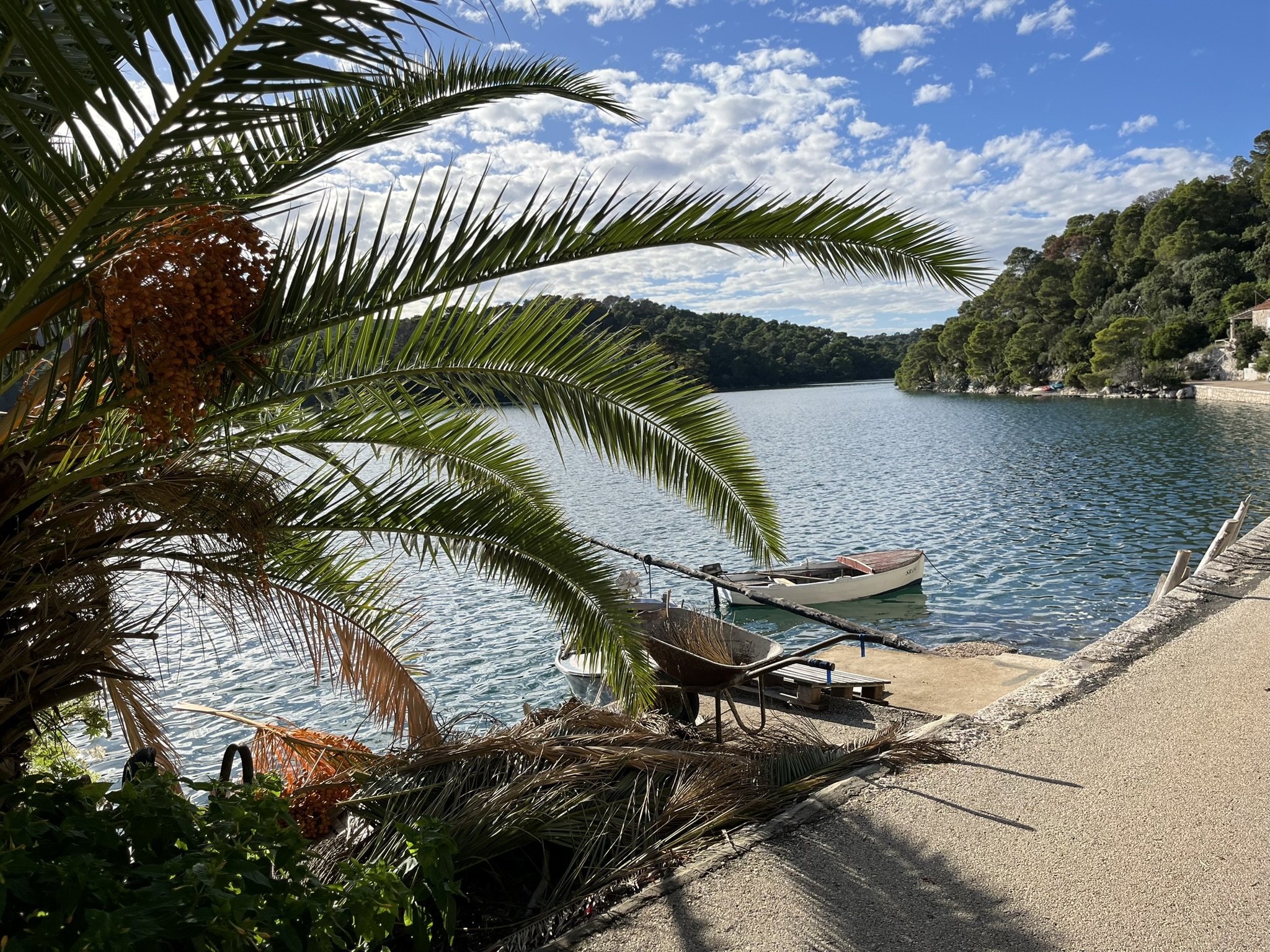 A calm lagoon surrounded by nature